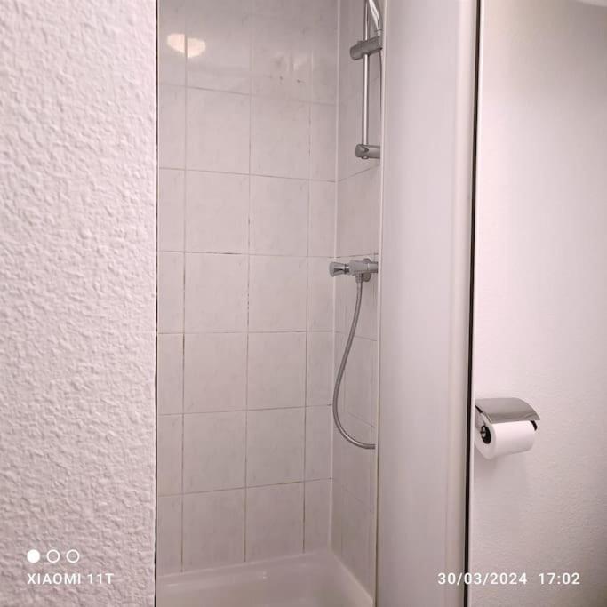 Villeurbanne Centre Appartement Meuble Buitenkant foto
