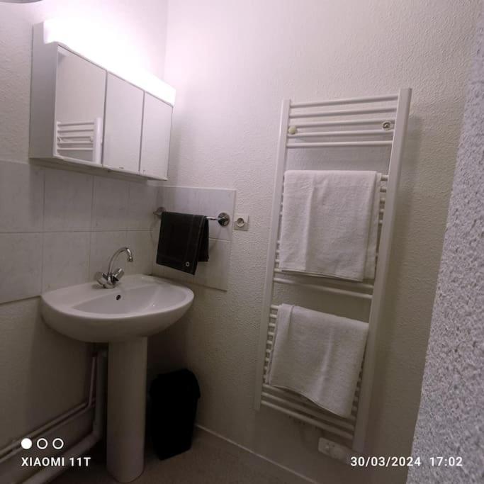 Villeurbanne Centre Appartement Meuble Buitenkant foto